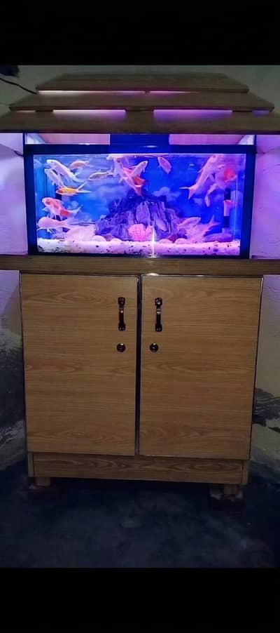 Aquarium + Cabinet Drawers