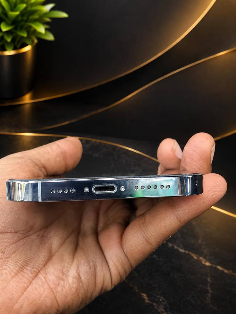 Apple iPhone 13 Pro Max 1