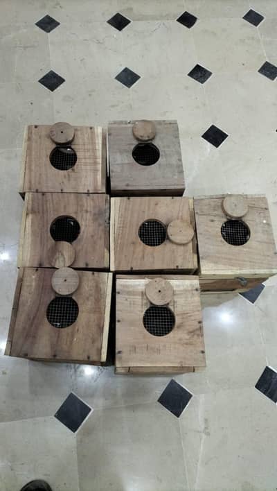 Lovebirds keekar wood boxes