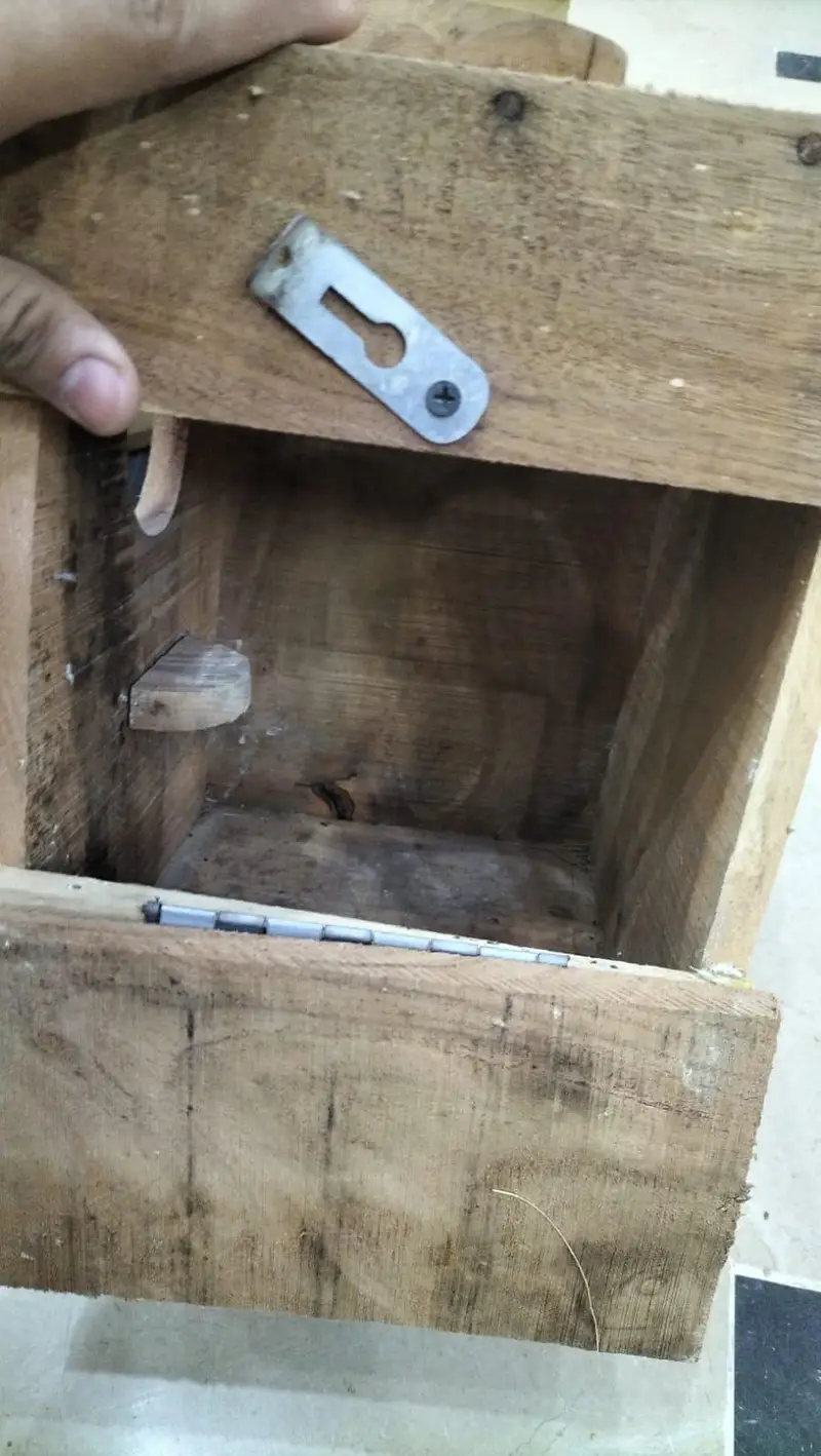 Lovebirds keekar wood boxes — photo 2