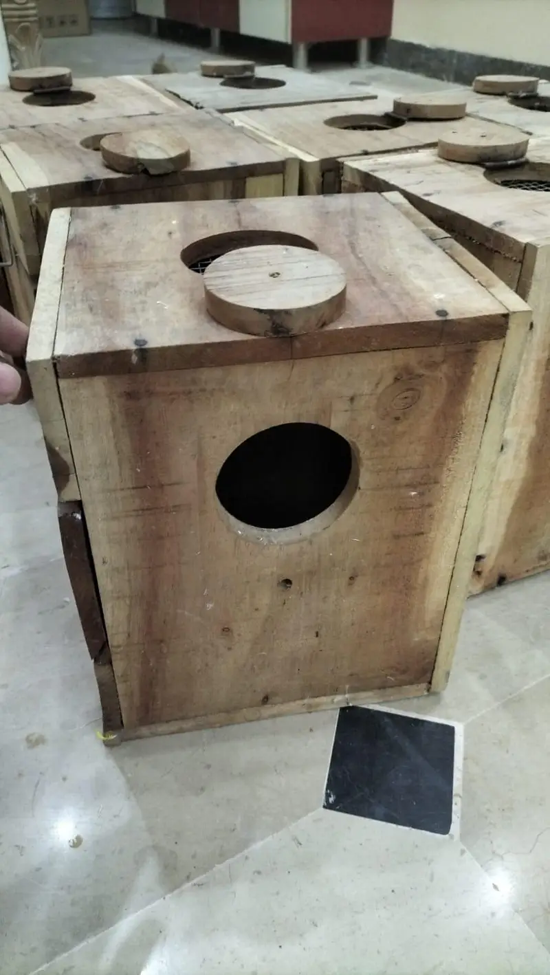 Lovebirds keekar wood boxes — photo 4