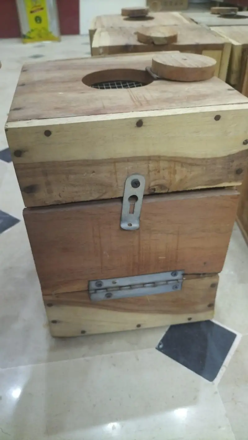 Lovebirds keekar wood boxes — photo 5