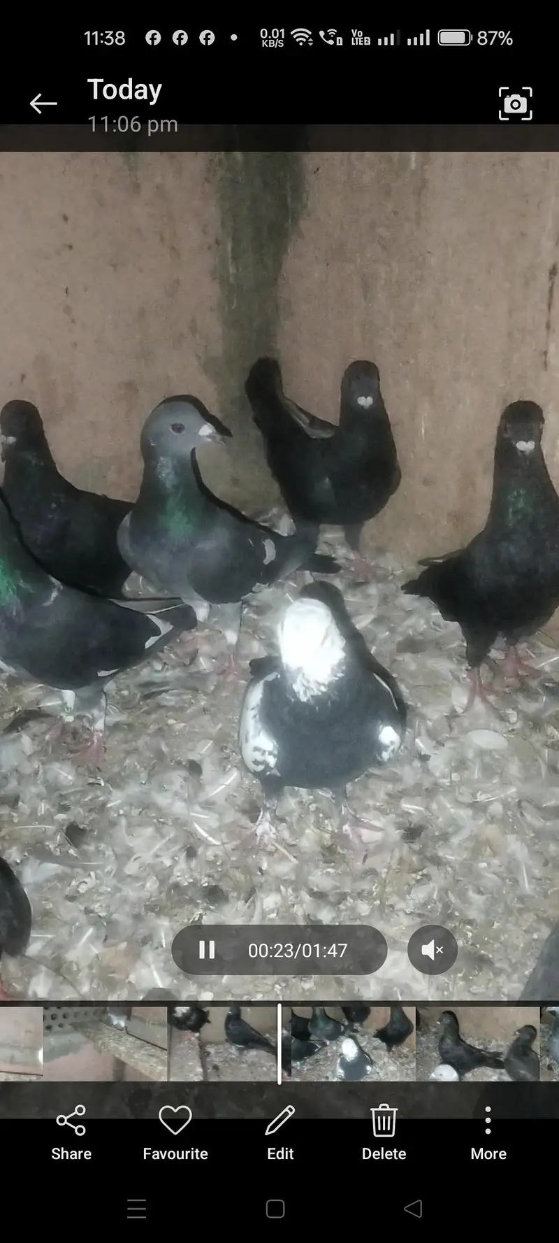 SHERAZI KETLE — photo 3