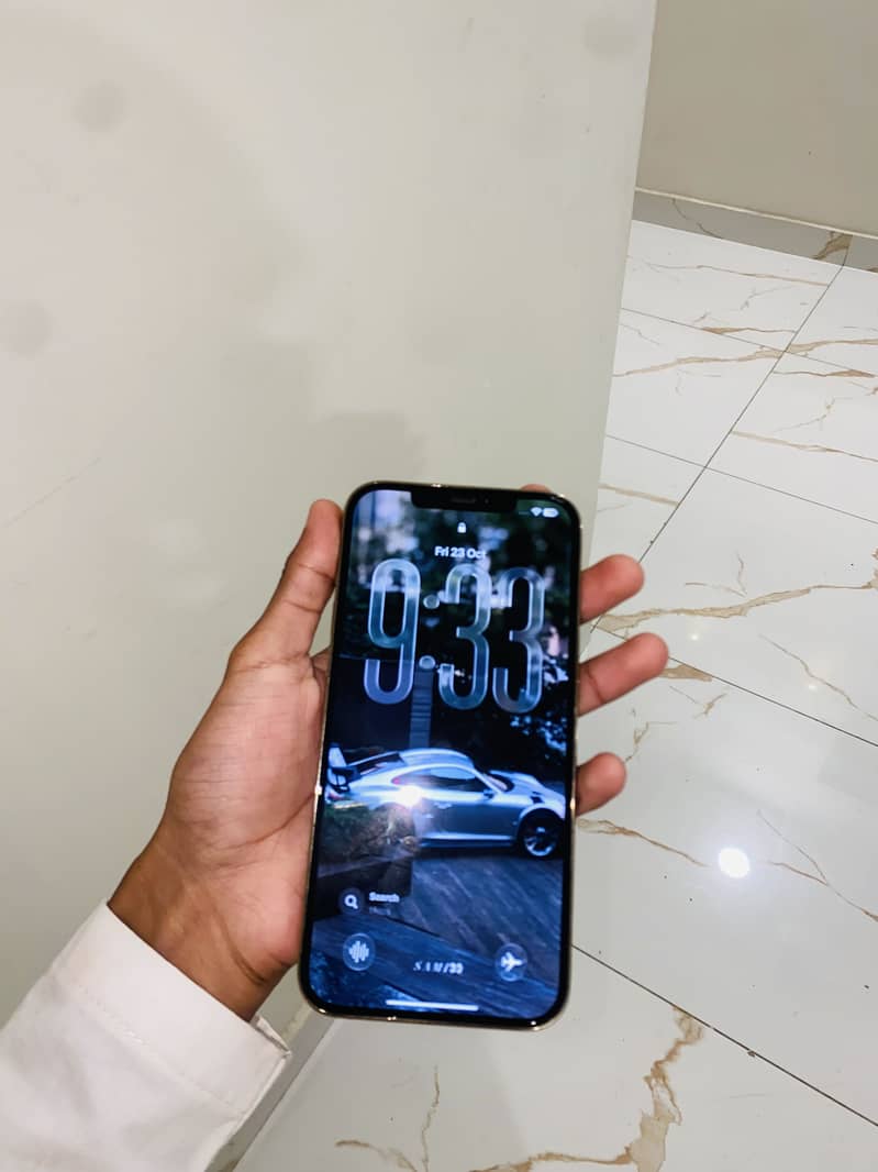 Apple iPhone 12 Pro Max 1