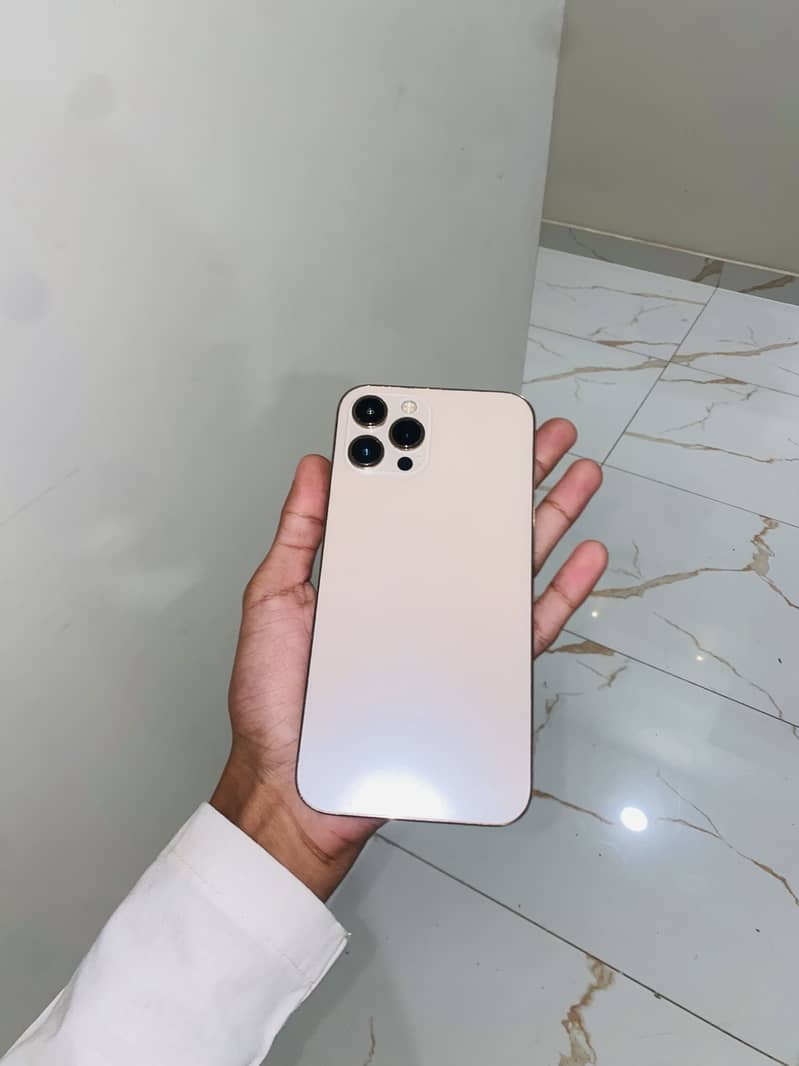 Apple iPhone 12 Pro Max 2