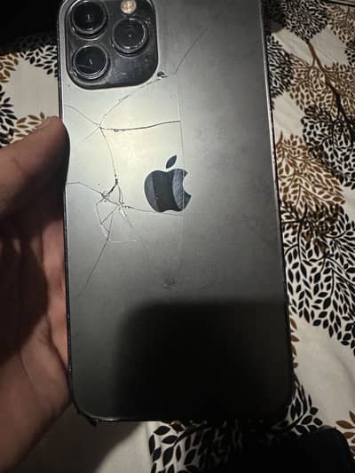 Apple iPhone 12 Pro Max