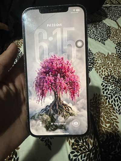 Apple iPhone 12 Pro Max