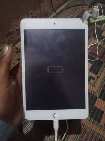 ipad mini 5