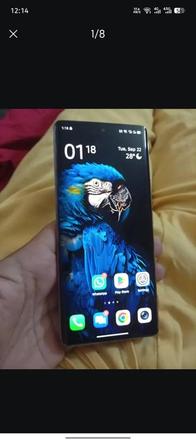 Infinix Zero 40 pink color