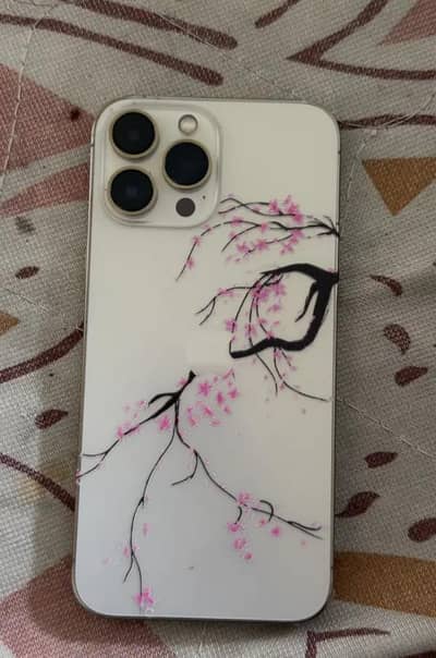 iphone 13pro max