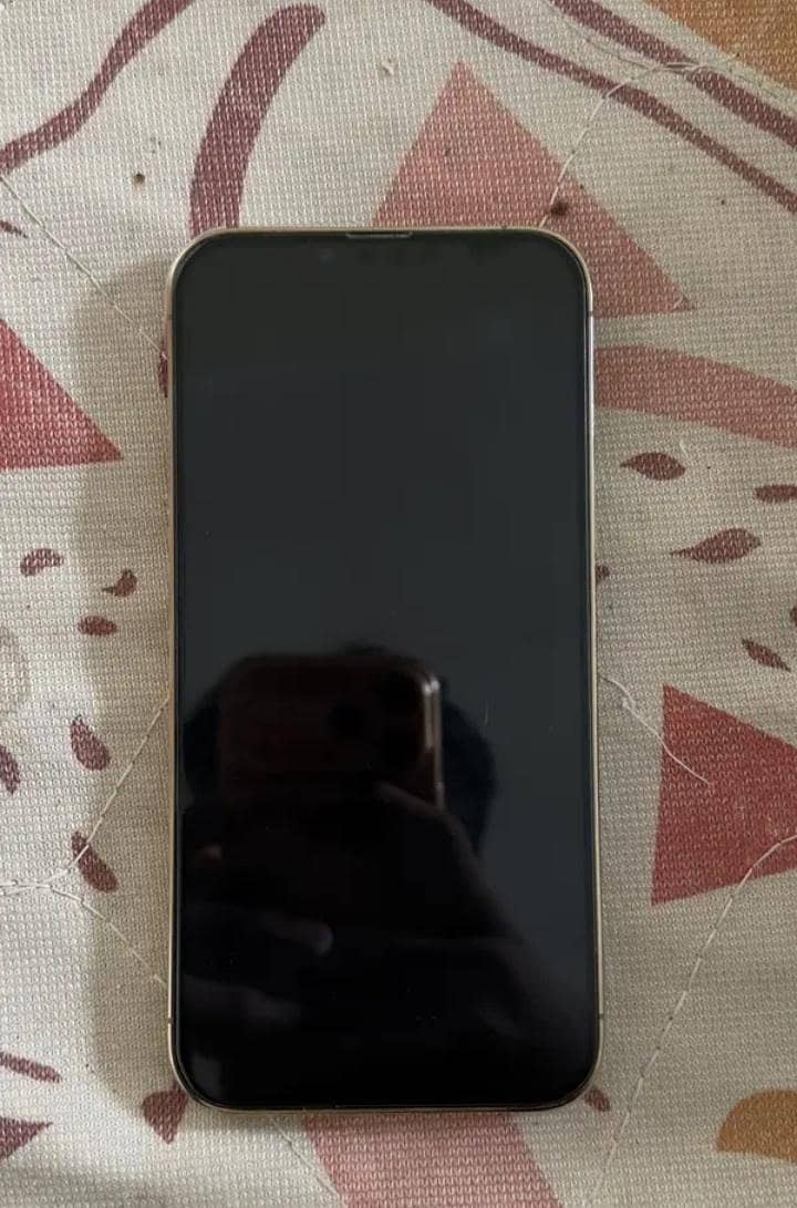 iphone 13pro max 1