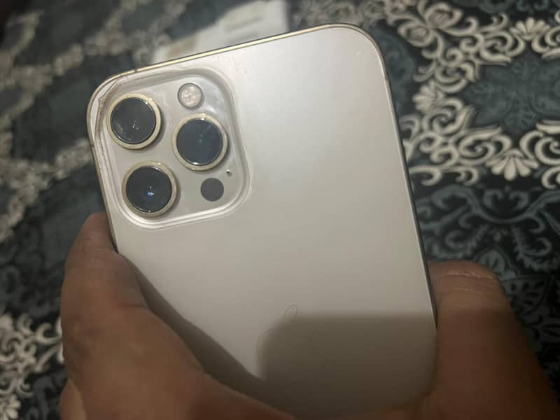 Apple iPhone 12 Pro Max 1