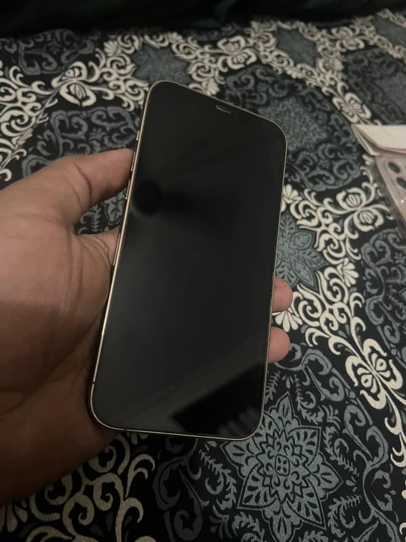 Apple iPhone 12 Pro Max 3