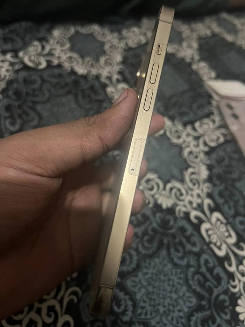 Apple iPhone 12 Pro Max 4