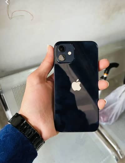 Apple iPhone 12 jv only phone urgent sale