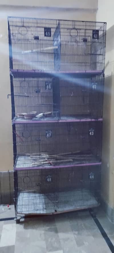 8 portion cage