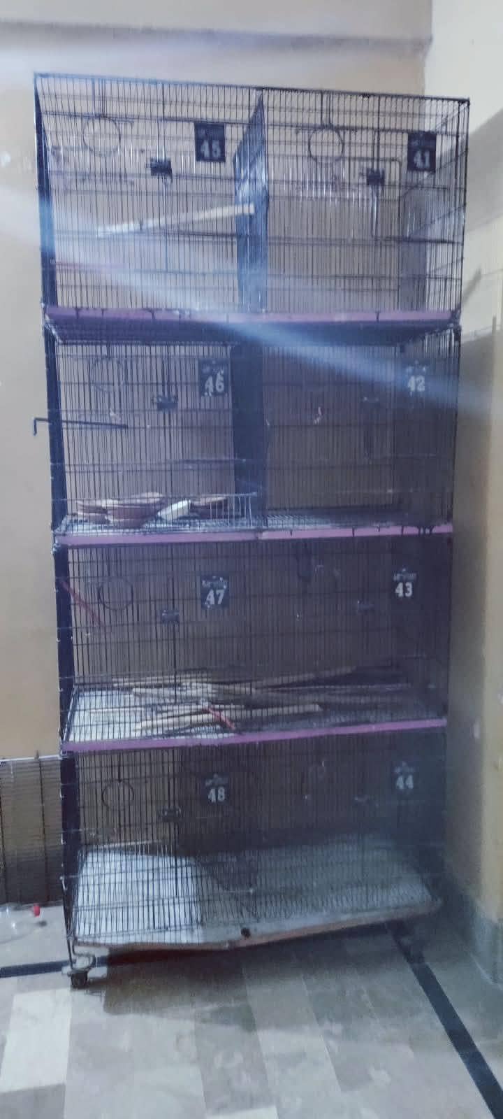 8 portion cage 0