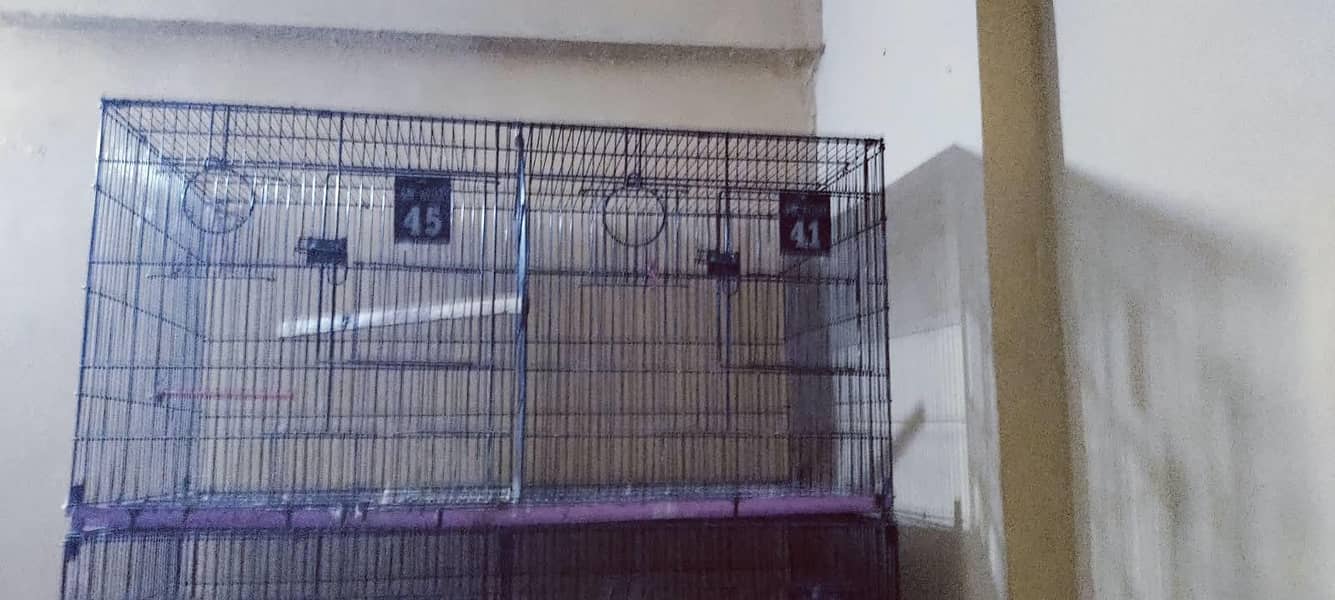 8 portion cage 1