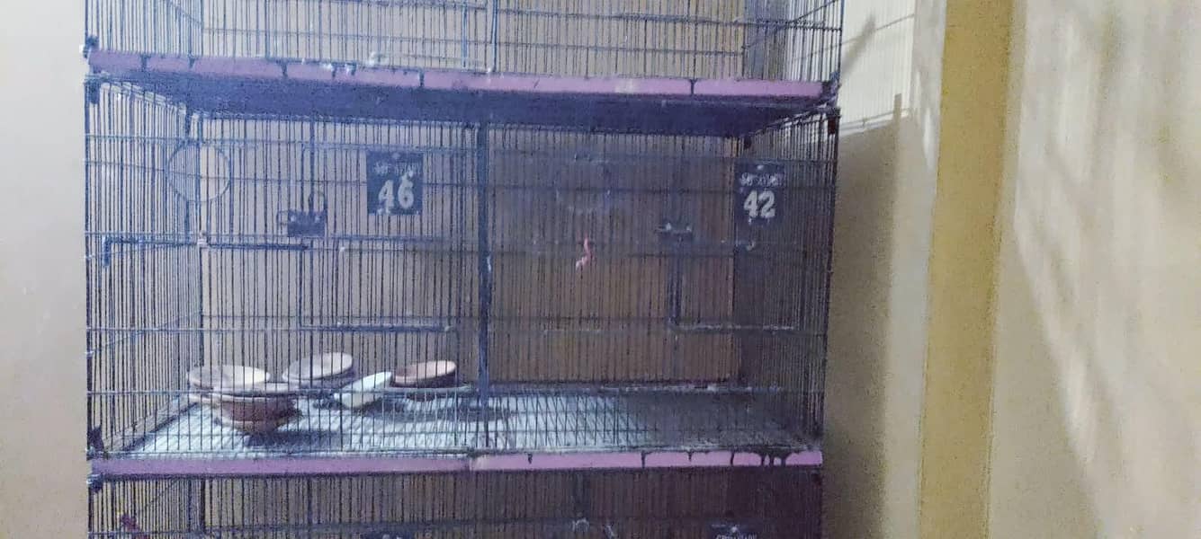 8 portion cage 2