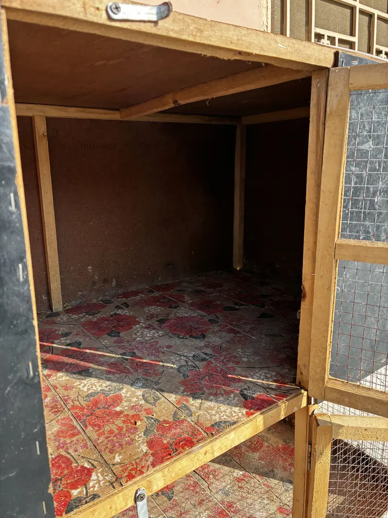 Cage for Chicks and Hens Available(3 portion) — photo 4