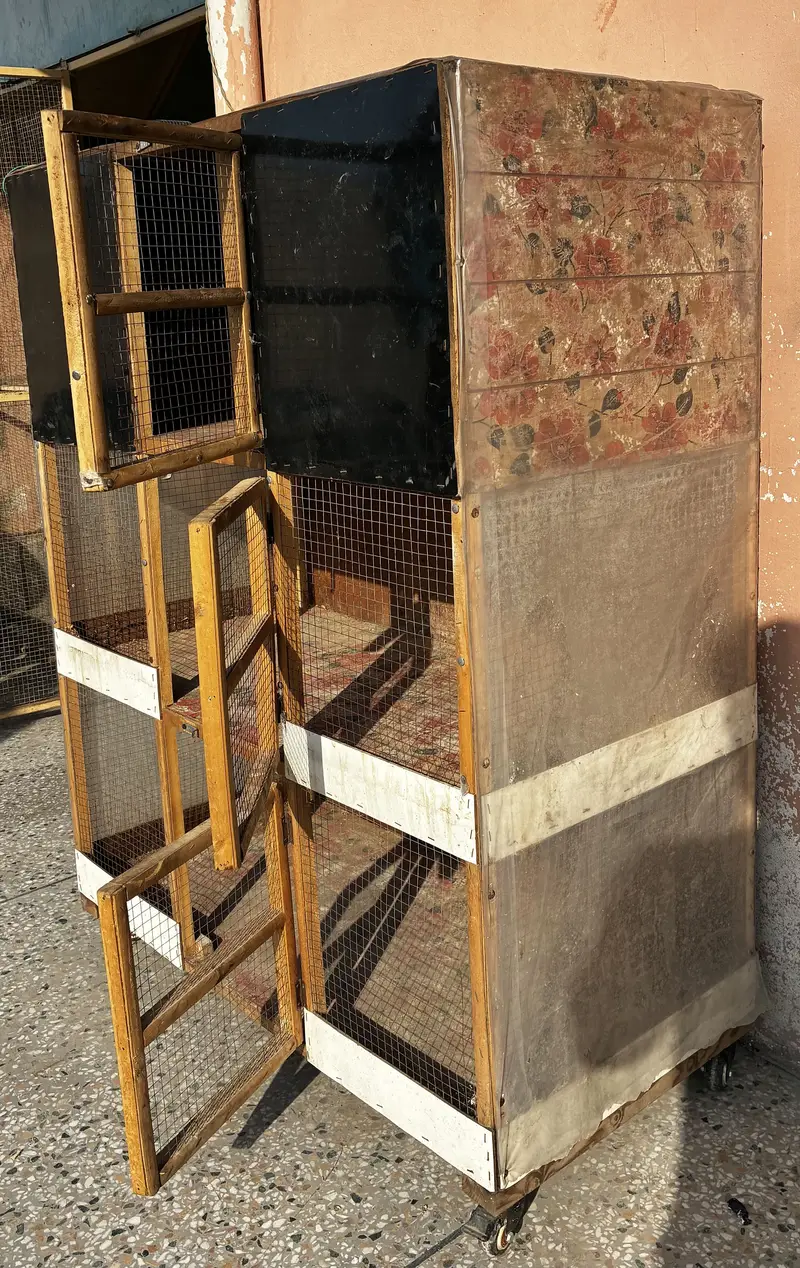 Cage for Chicks and Hens Available(3 portion) — photo 5
