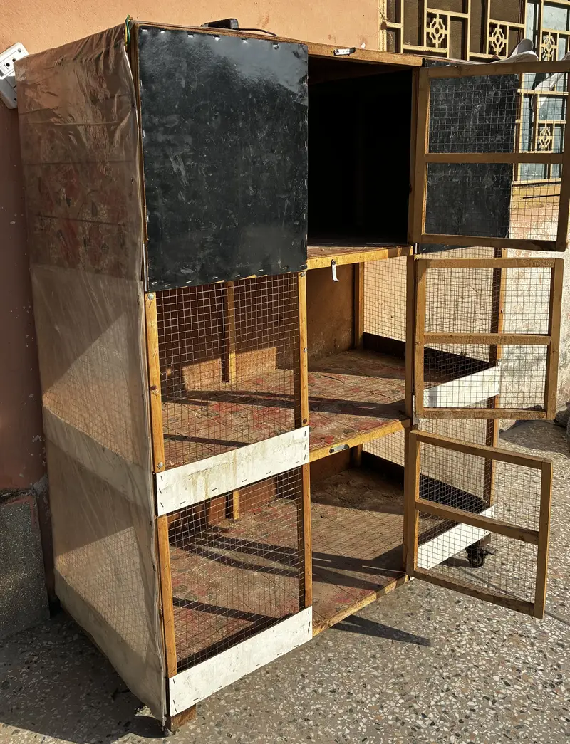 Cage for Chicks and Hens Available(3 portion) — photo 6