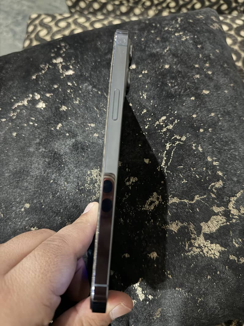 Apple iPhone 13 Pro Max 2