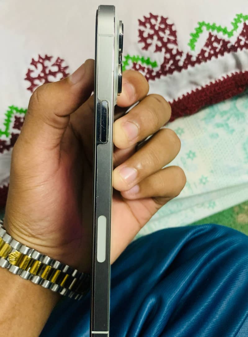 Apple iPhone 13 Pro Max 1