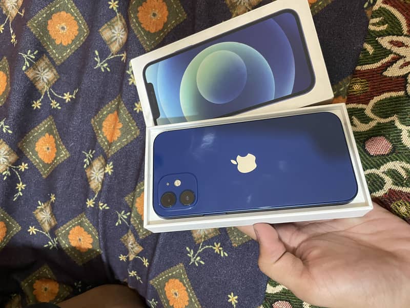 Apple iPhone 12 1