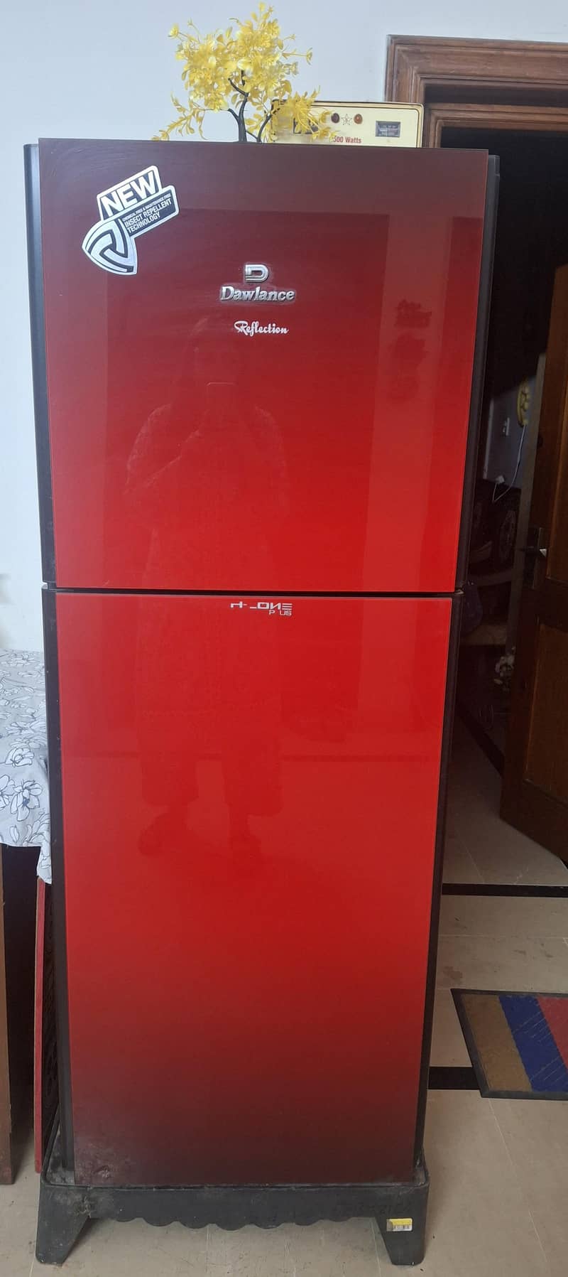 fridge 1