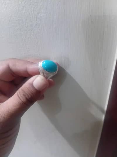 nishapur feroza robin egg