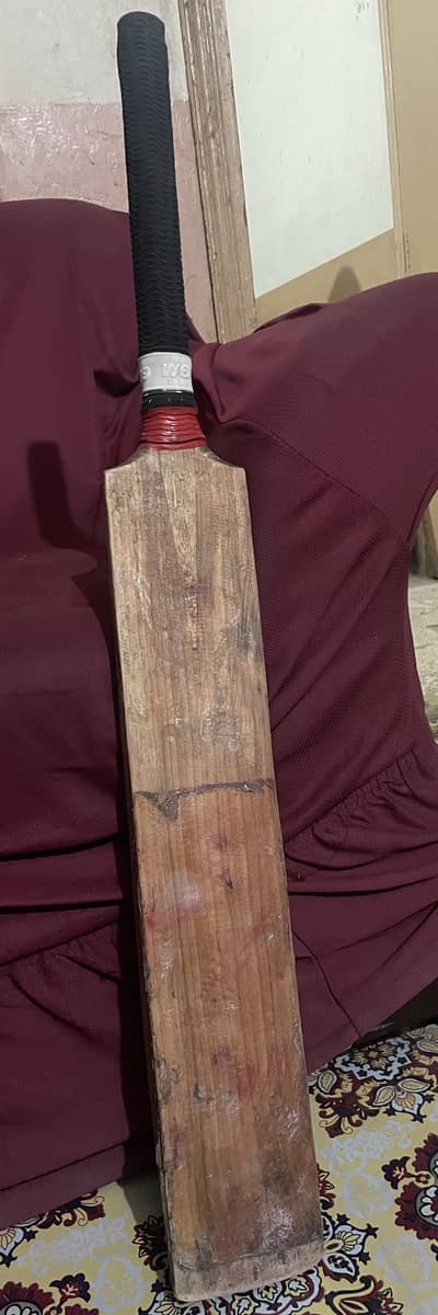 English willow bat