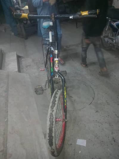 Wheeler Bicycle