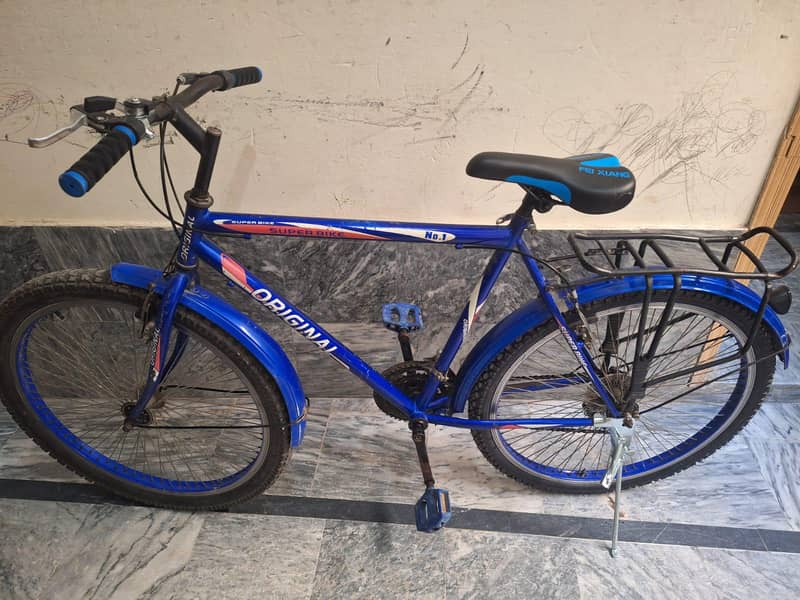 Geared Bicycle 1