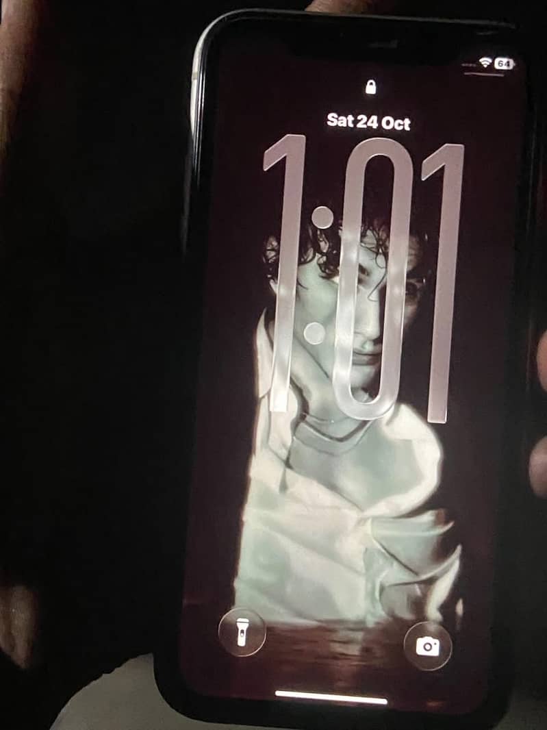 Apple iPhone 11 2