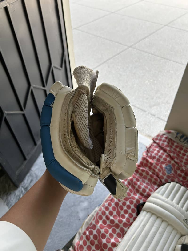 Cricket kit 1