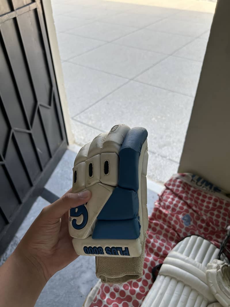 Cricket kit 2