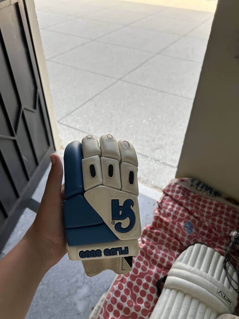 Cricket kit 3