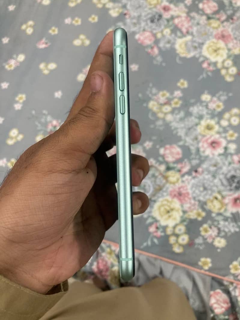 Apple iPhone 11 1