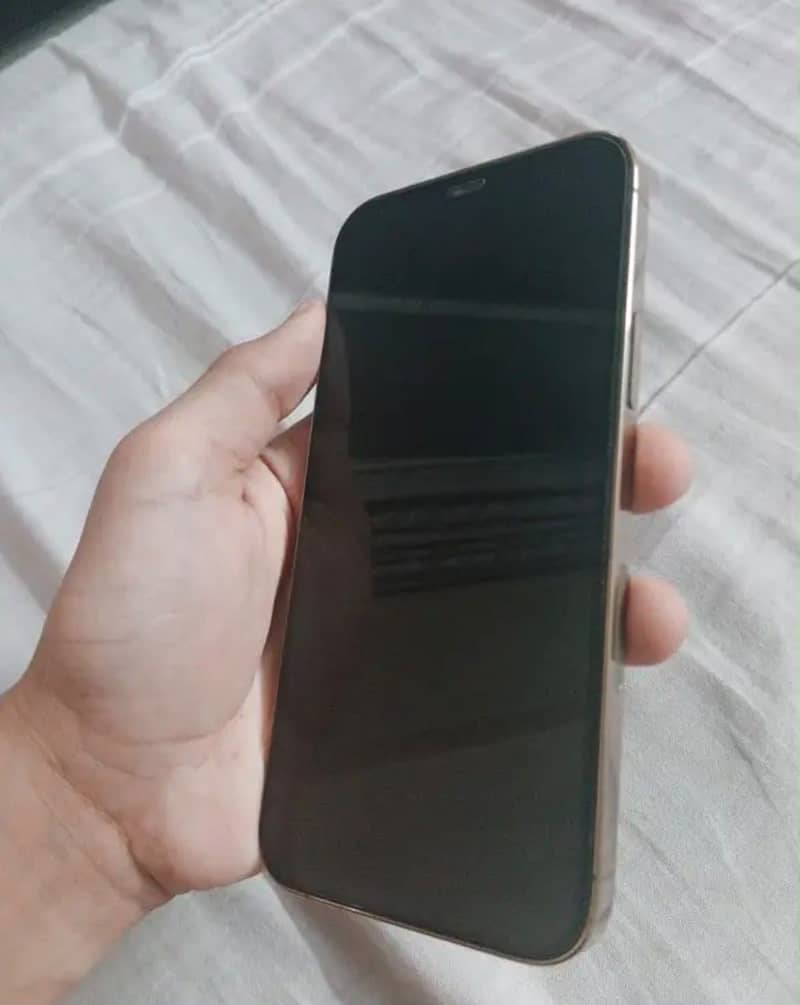 Apple iPhone 12 Pro 1