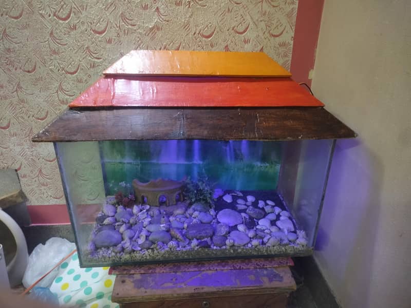 fish equatorium 0