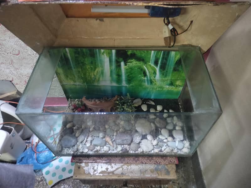 fish equatorium 2