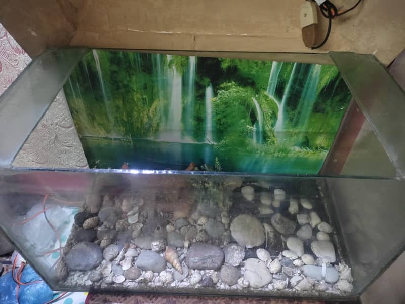 fish equatorium 3