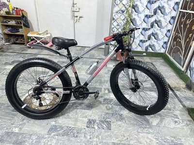 Maigoo imported fat tyre bicycle