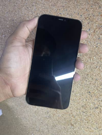 Apple iPhone 12 Pro Max