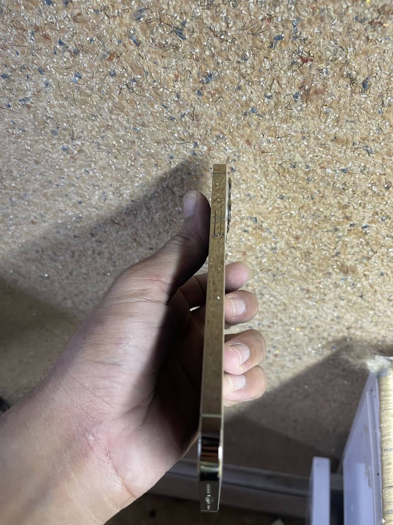 Apple iPhone 12 Pro Max 5