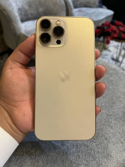 Apple iPhone 13 Pro Max