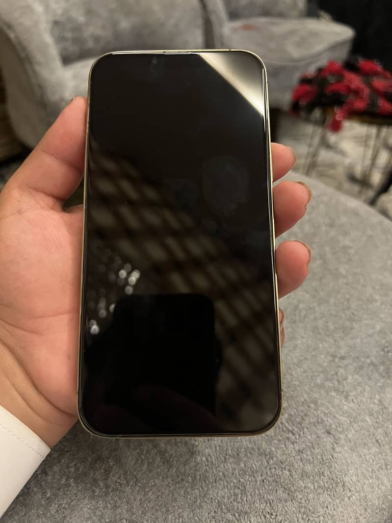 Apple iPhone 13 Pro Max 2