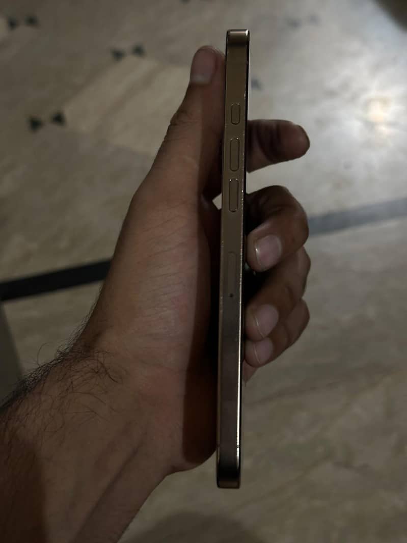 Apple iPhone 16 Pro Max 3