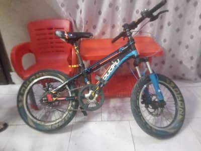 china import bicycle
